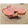 Image 1 : Burl Table with Solid Stand