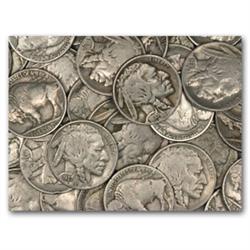 Lot of Buffalo Nickels-50 Coins-US File-eahy