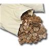 Image 1 : Large Lot of Wheat Pennies-250-US FILE-cebp