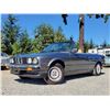 Image 1 : 0O --  1988 BMW 325I CONVERTIBLE, Grey, 208182 KM