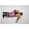 Image 3 : Wrestling Collectible Figure
