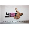 Image 4 : Wrestling Collectible Figure
