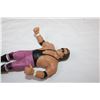 Image 5 : Wrestling Collectible Figure