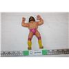 Image 1 : Wrestling Collectible Figure