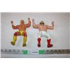 Image 1 : Wrestling Collectible Figures (2)