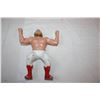 Image 5 : Wrestling Collectible Figures (2)