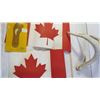 Image 4 : Hot Water bottle and Antler shed with 2 canadian flags