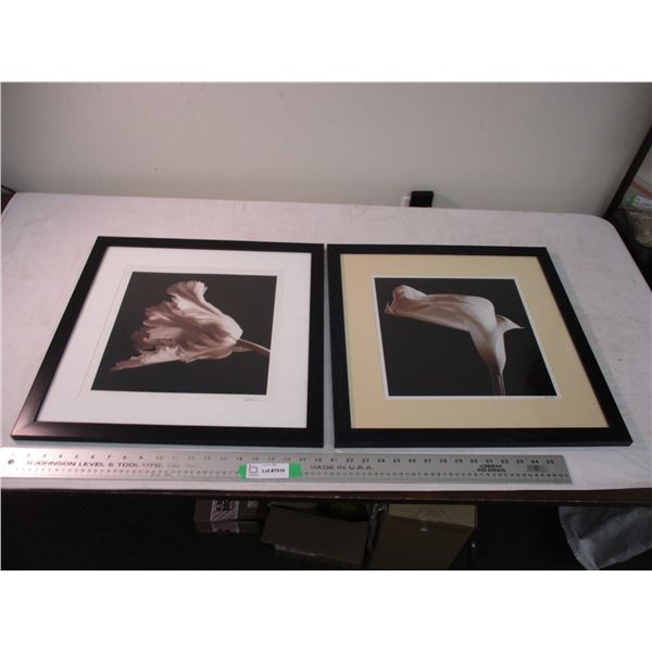 (2) pictures in frames 20x20 - signed