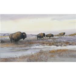 Tom Sander, Watercolor