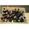 Image 4 : USA Beer Bottles Collectibles (29)