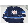Image 1 : 1x Ladies or Youth Winnipeg Jets Jersey (size sm)