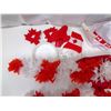 Image 2 : Canada Day Lot