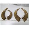 Image 1 : 2 Sets of Bull Horns
