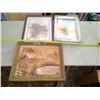 Image 1 : 4 Picture Frames - Various Sizes