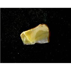 BEAUTIFUL LIGHTNING RIDGE ROUGH OPAL - 15.23 cts. #102