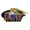 Image 1 : LSU Helmet
