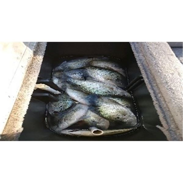 Freshwater Fishing for the Family