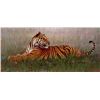 Image 1 : Banovich Art - Bengal Repose