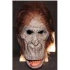 Image 1 : GREYSTOKE THE LEGEND OF TARZAN FATHER APE STATIC FULL HEAD MASK