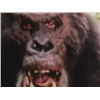 Image 5 : GREYSTOKE THE LEGEND OF TARZAN FATHER APE STATIC FULL HEAD MASK
