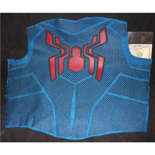 SPIDER-MAN DISNEY BACK PANEL WITH GLYPHS 1 SUPER HERO