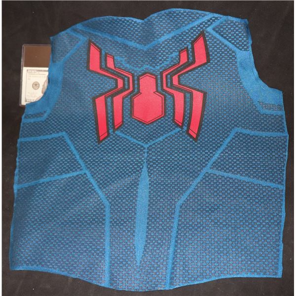 SPIDER-MAN LARGE DISNEY BACK PANEL WITH GLYPHS 2 SUPER HERO