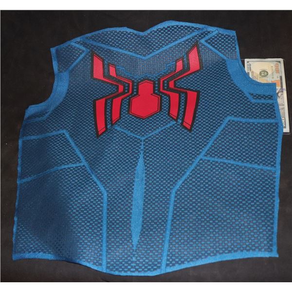 SPIDER-MAN LARGE DISNEY BACK PANEL WITH GLYPHS 4 SUPER HERO