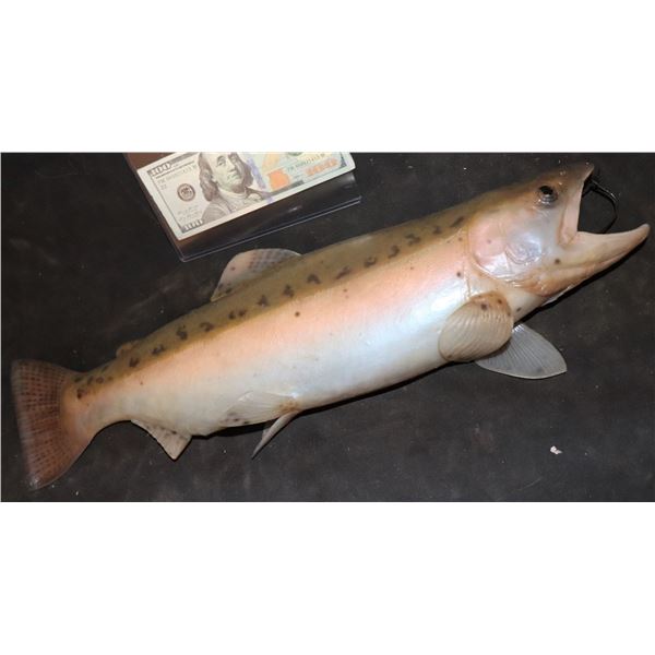 TROUT SOLID SILICONE FISH PROP FROM UNKNOWN PRODUCTIONS