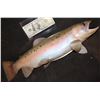 Image 1 : TROUT SPLIT SILICONE FISH PROP FROM UNKNOWN PRODUCTIONS