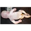 Image 3 : SILICONE ALIEN MUTANT BABY PUPPET