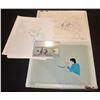 Image 1 : THE HARDY BOYS 1969 ANIMATION CELLS ARTWORK IN FILMATION FOLDER EPISODE 9 SCENE 97
