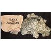 Image 1 : DINOSAURS TV SHOW BANK OF PANGAEA BAG FULL OF DINO DOLLARS