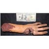 Image 2 : FRIDAY THE 13TH SEVERED ARM WITH GORE FROM UNKNOWN VINTAGE FILM