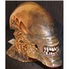 Image 3 : ALIEN RESURRECTION DISPLAY HEAD WITH FULL NECK