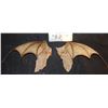 Image 2 : BAT WINGS FROM UNKNOWN FILM