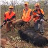Image 2 : 3-Day/2-Night Texas Hog Hunt for 2 Hunters with Unlimited Hogs