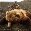 Image 3 : 10-Day Alaskan Brown Bear Hunt for (1) Hunter