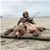 Image 4 : 10-Day Alaskan Brown Bear Hunt for (1) Hunter