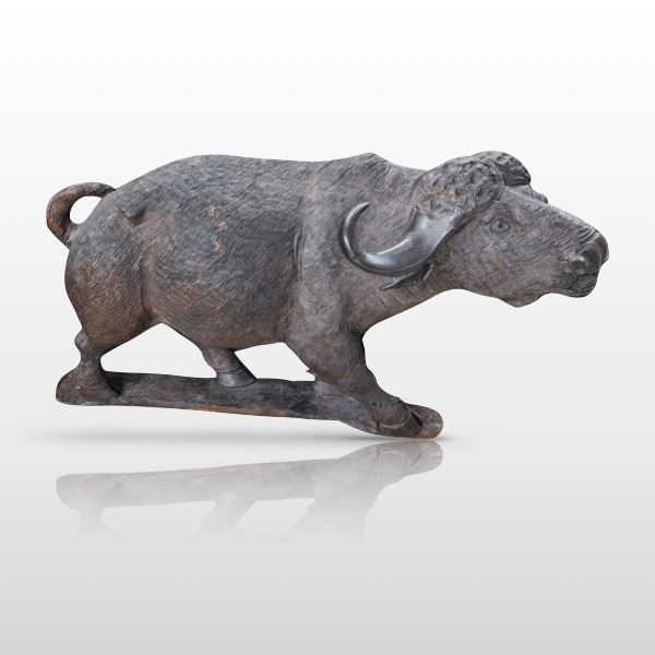 African Ironwood Cape Buffalo