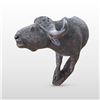 Image 2 : African Ironwood Cape Buffalo