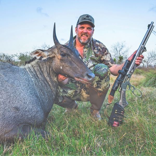 2.5-Day/3-Night 1x1 South Texas Free Range Nilgai Hunt for 1 Hunter