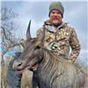 Image 2 : 2.5-Day/3-Night 1x1 South Texas Free Range Nilgai Hunt for 1 Hunter