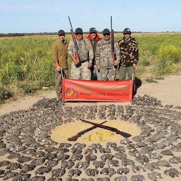 4-Day Dove Hunting, Pigeon Hunting, and Golden Dorado Fishing in Argentina for 3