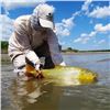 Image 2 : 4-Day Dove Hunting, Pigeon Hunting, and Golden Dorado Fishing in Argentina for 3