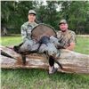 Image 5 : 2-1/2 Day Wild Osceola Guided Turkey Hunt for 1 Hunter in Florida