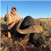 Image 2 : 7-Day South African Cape Buffalo Hunt for 1 Hunter and 1 Non-Hunter
