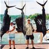 Image 2 : 6-Day Mexico Inclusive Deep Sea Fishing Trip For 1 Angler For Roosterfish, Sailfish, and Blue Marlin