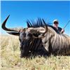 Image 1 : 6-Day South African 1x1 Plains Game Safari for 1 Hunter and 1 Non-Hunter