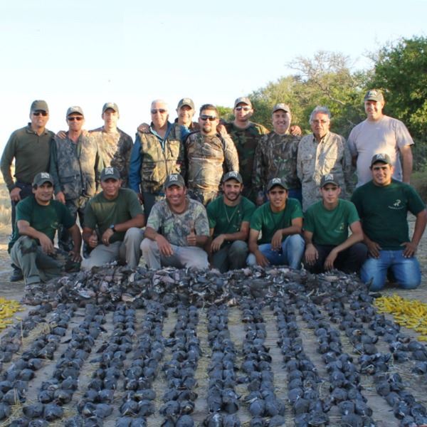 4-Day High Volume Dove Hunt in Argentina for 4 Hunters