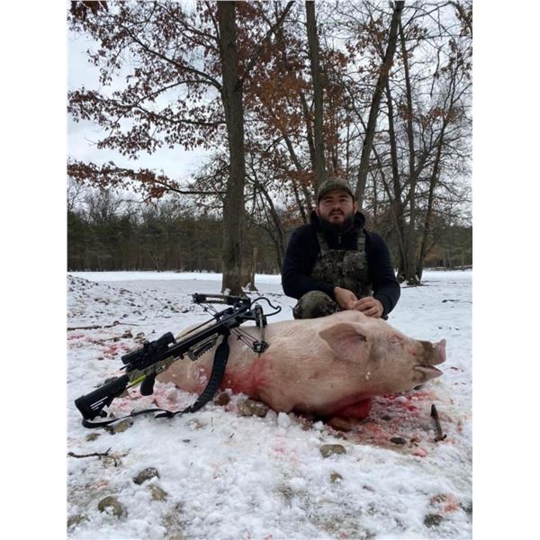 Hidden Horns Game Ranch Michigan Arctic Hogs Hunt for 4 Hunters